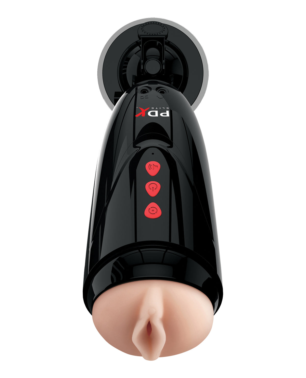 PDRD524