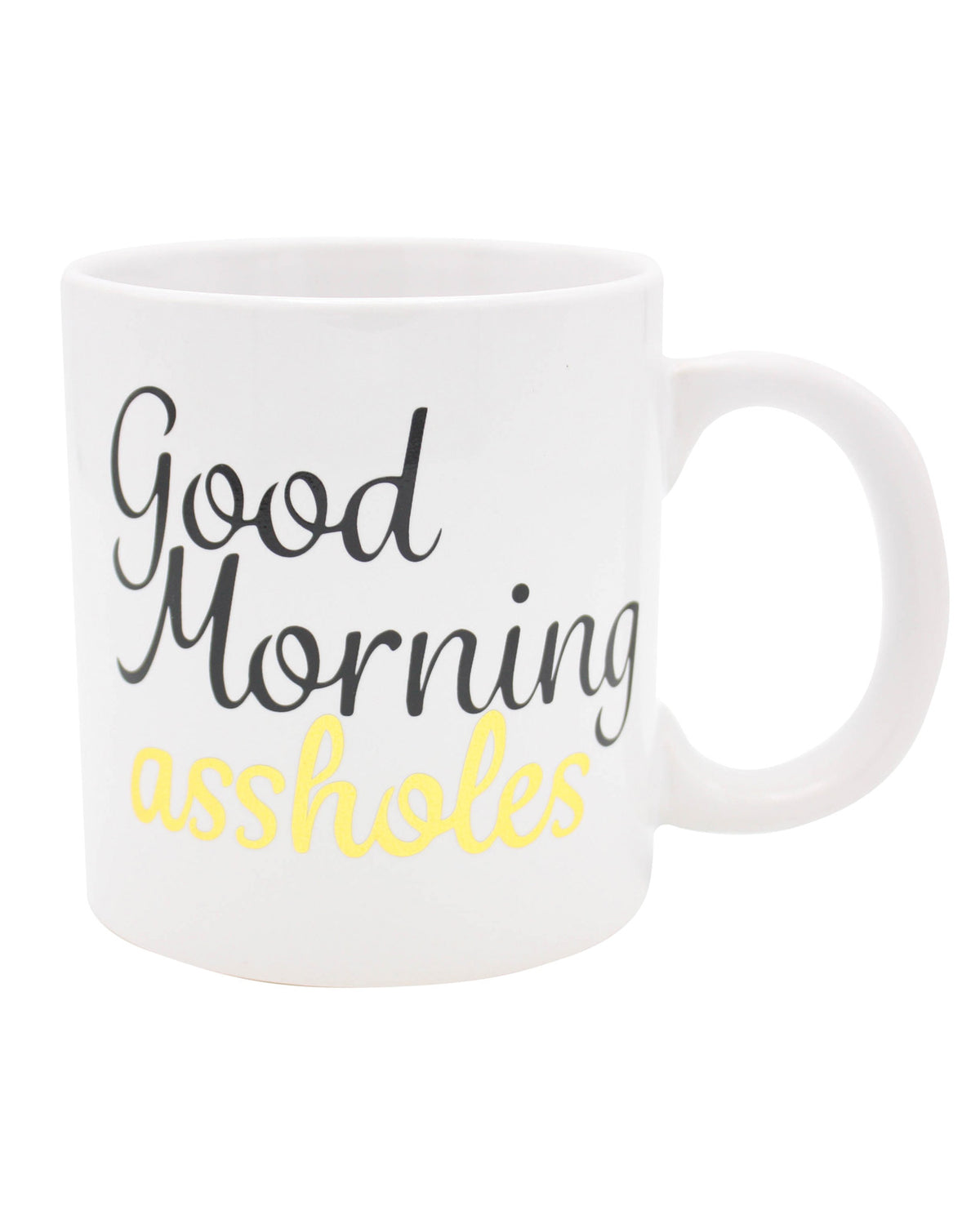 The Soft Hum Attitude Mug Good Morning Asshole - 22 oz