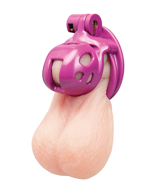 1" Bitchboy Pink Prisoner Cock Cage (2)