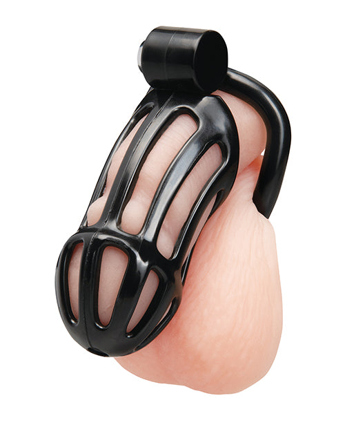 4" Prisoner Cock Cage (2)