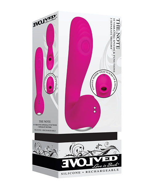 The Soft Hum Evolved The Note Thumping Licking Vibe - Pink