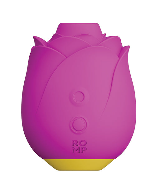 RP301SG4