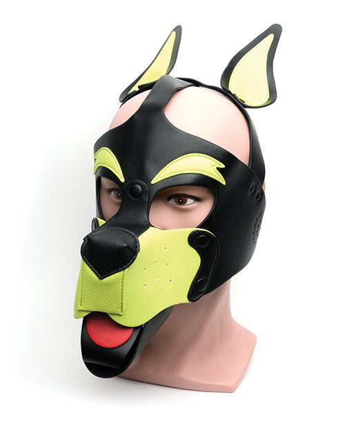 The Soft Hum 665 Playful Pup Hood - O/S Black/Yellow