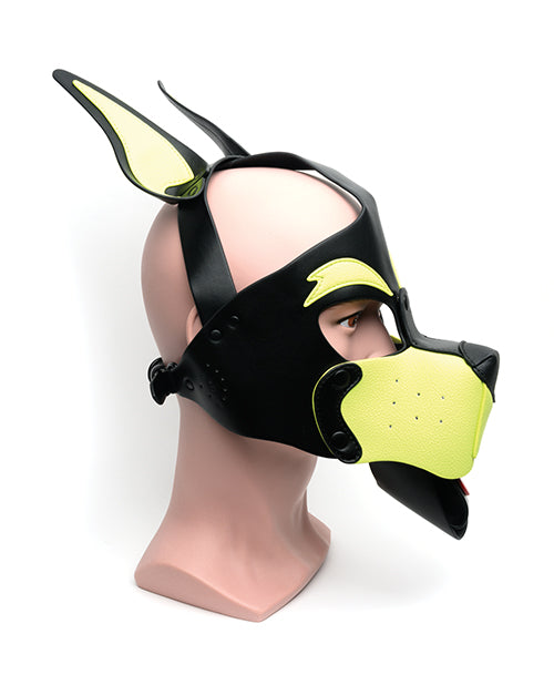 The Soft Hum 665 Playful Pup Hood - O/S Black/Yellow - Image 2